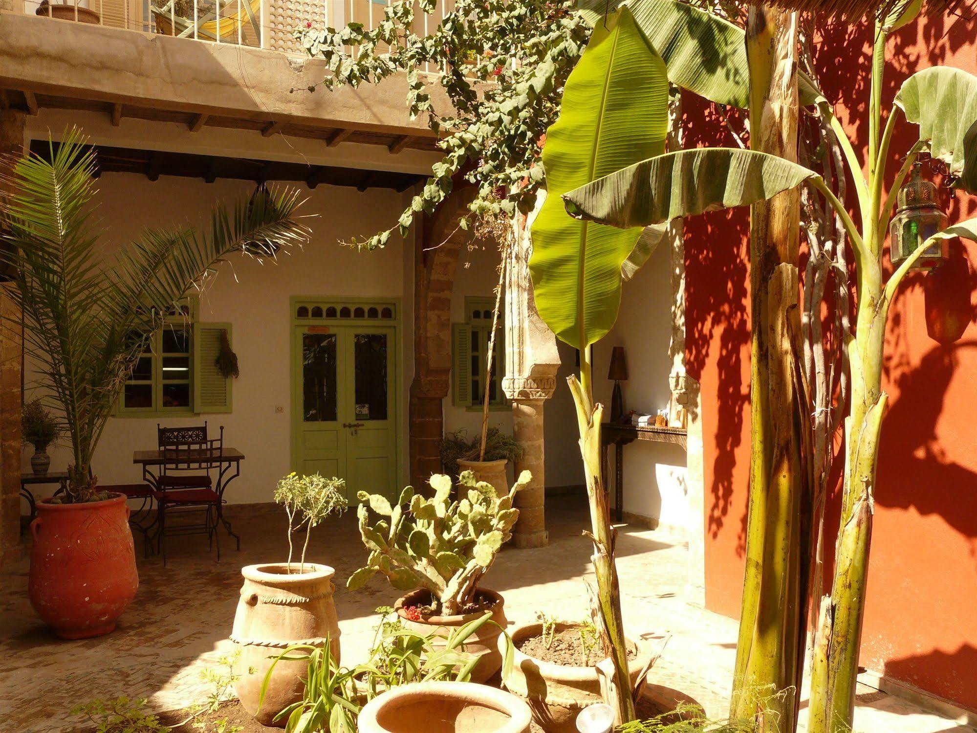 Dar Dayana 3*